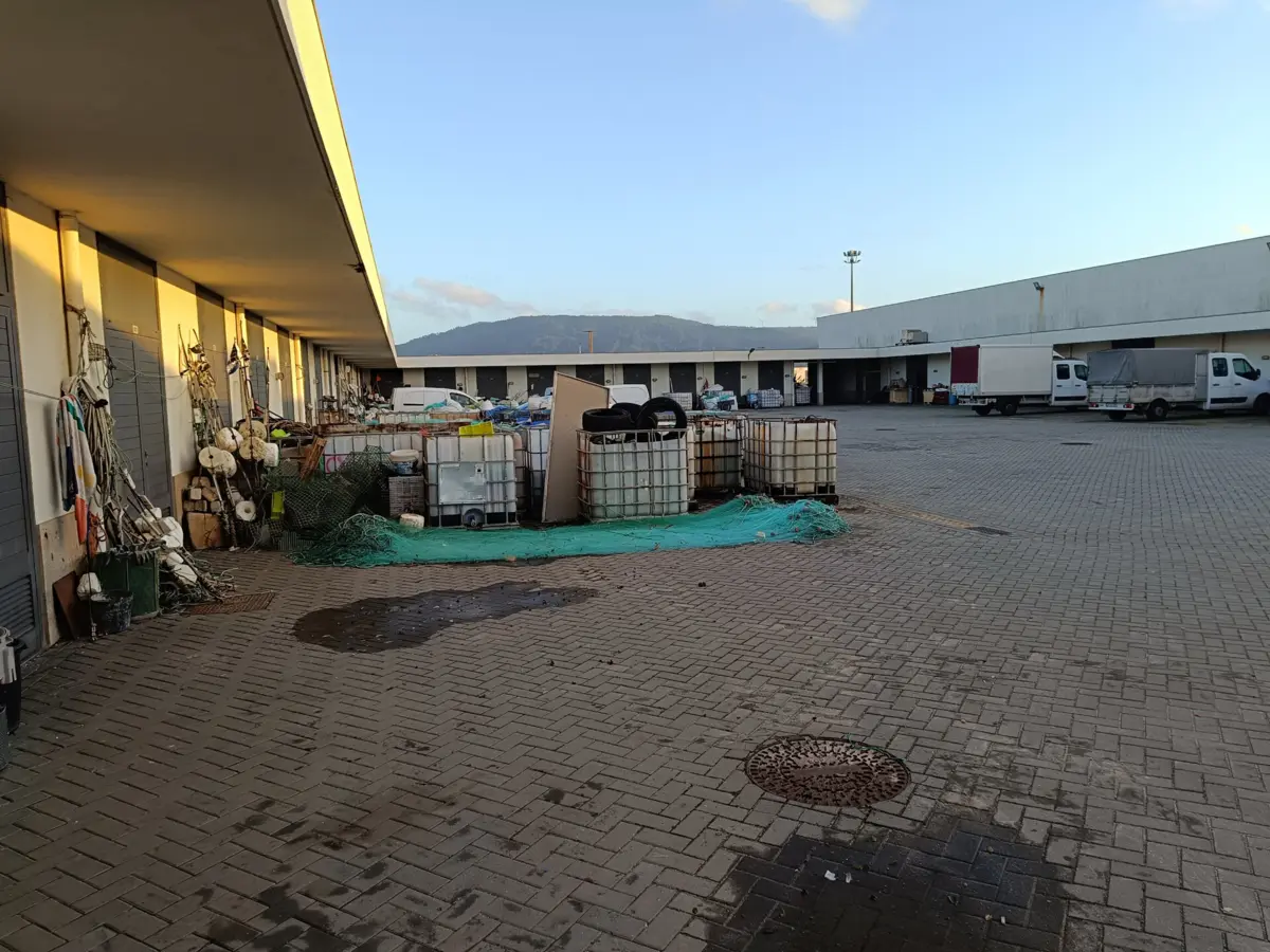 Imagem de contexto do artigo Porto de pesca de Vila Praia de Âncora com água cortada há semanas