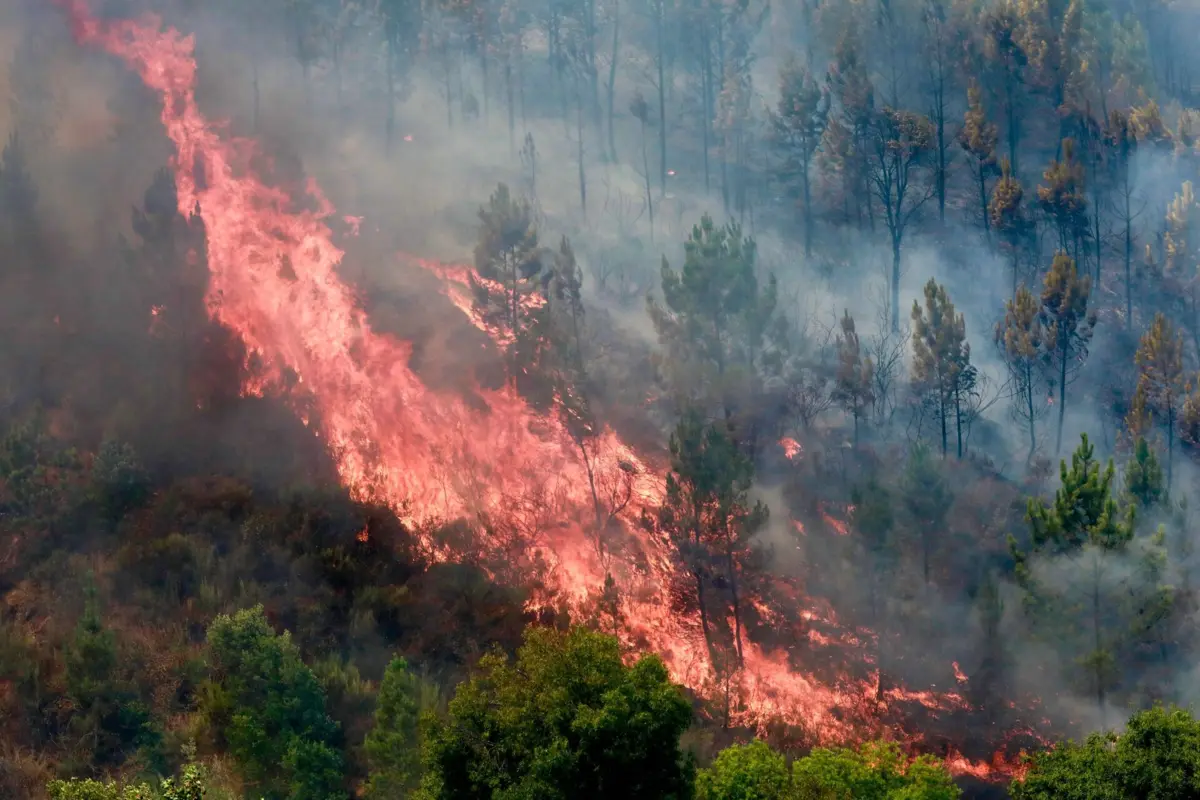 A Câmara do Fundão pede à população que evite deslocações desnecessárias