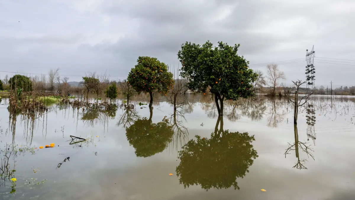 Comboio de tempestades causou danos de Norte a Sul do país