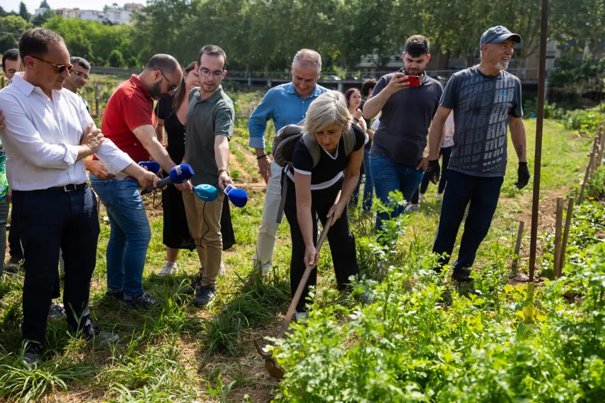 A cabeça de lista do PS às europeias, Marta Temido