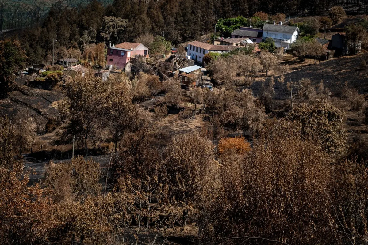 Portugal é, todos os anos, assolado por incêndios florestais