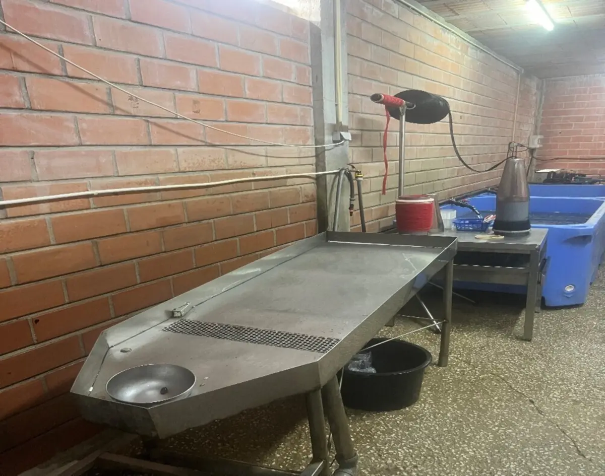 Proprietário foi detido por não cumprir a ordem de encerramento do estabelecimento