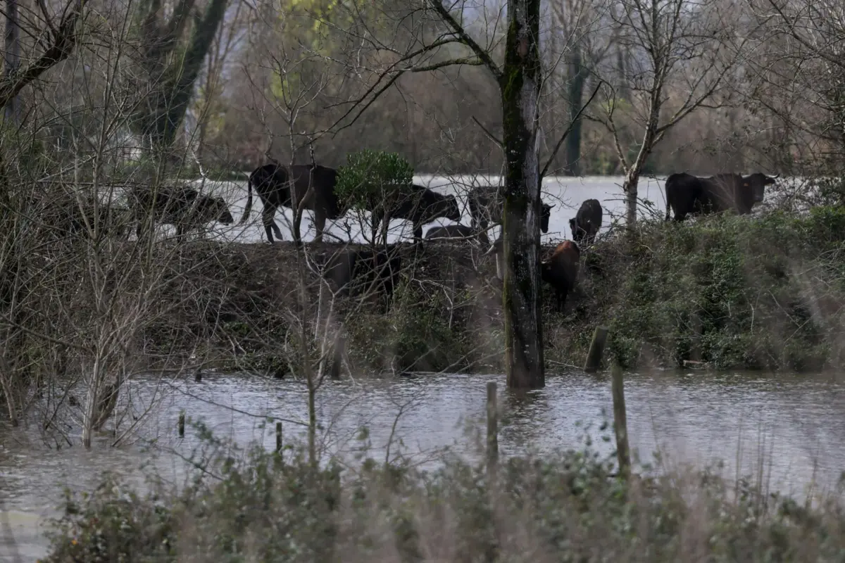 Campos alagadas devidos às tempestades que afetaram Portugal
