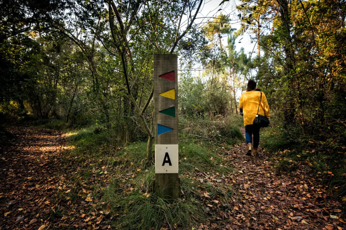 Reserva Nacional de São Jacinto