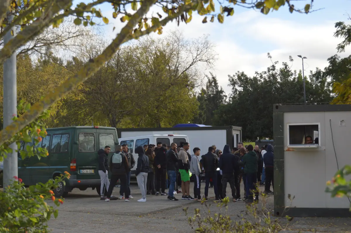 Maioria dos trabalhadores traficados tem como destino a agricultura