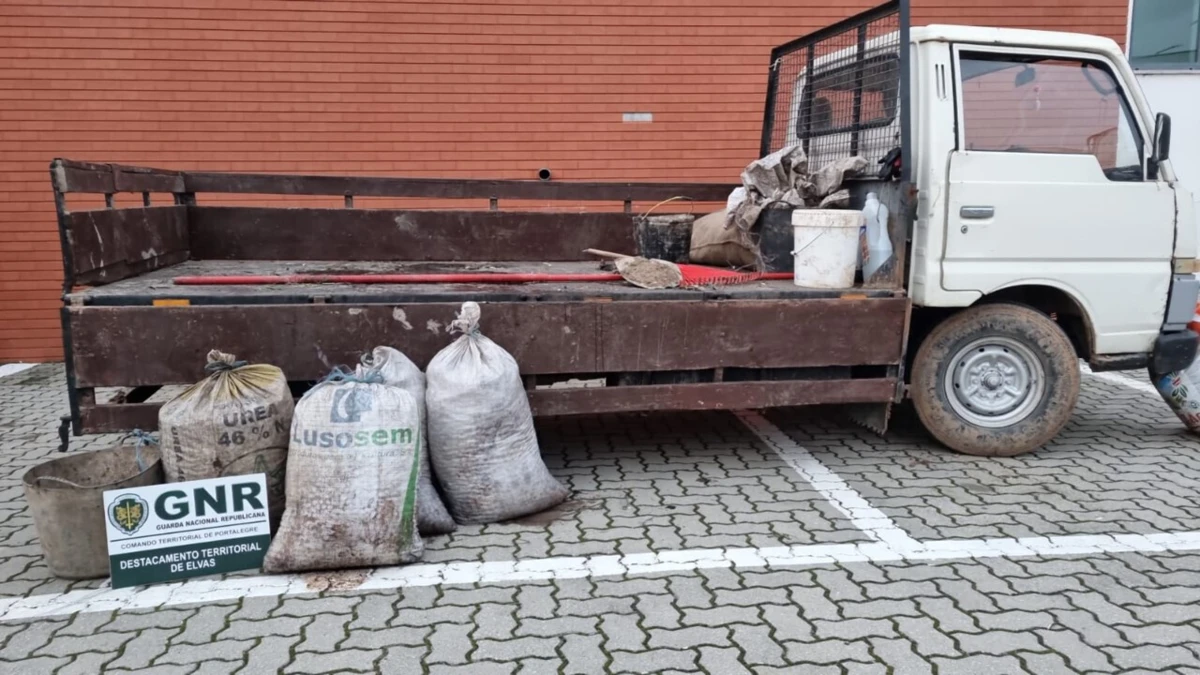 GNR apreendeu 200 quilos de azeitona e uma viatura