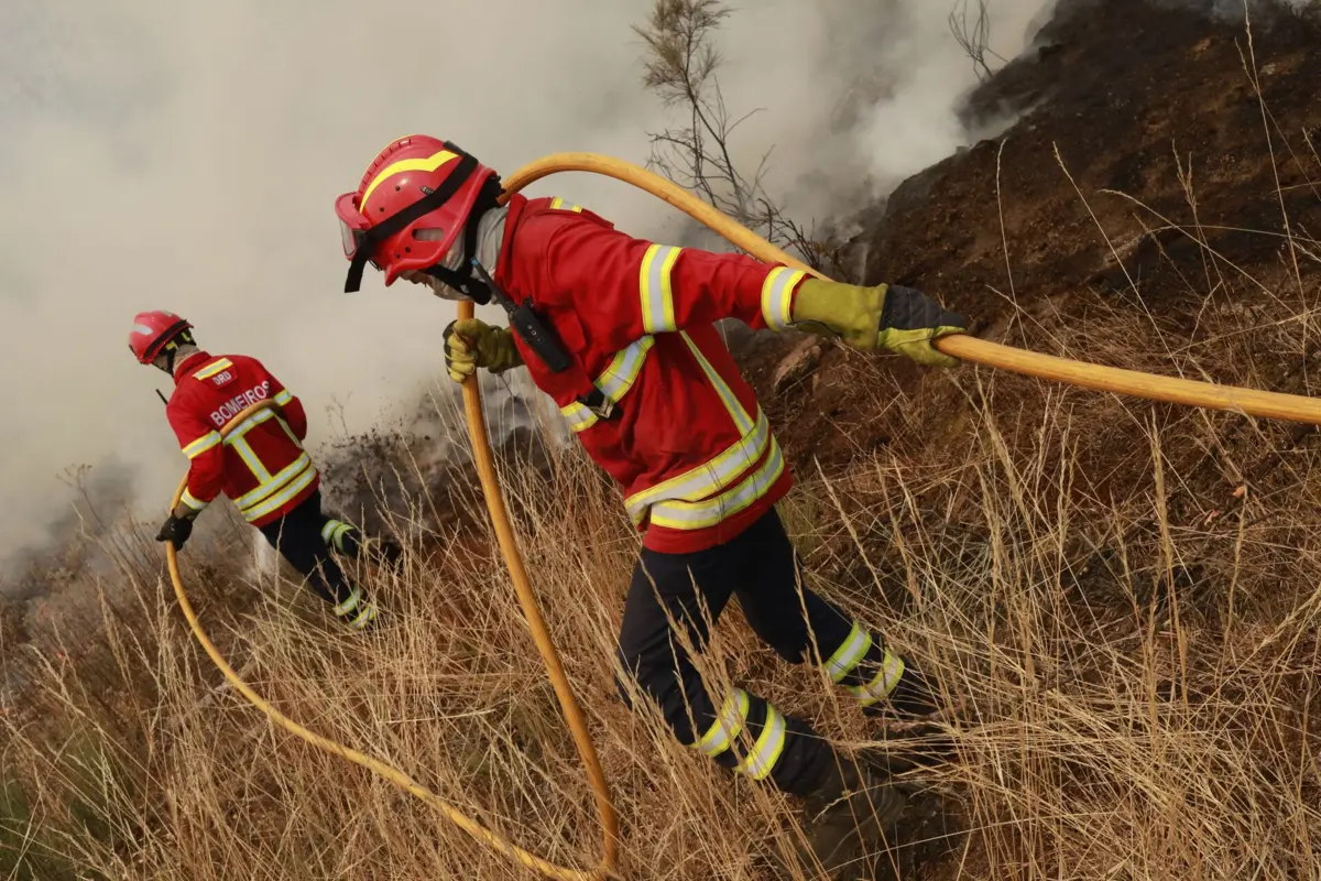 Incêndio tinha sido dominado de manhã, depois de consumir 1300 hectares