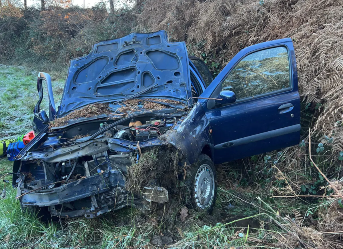 Carro caiu a um campo