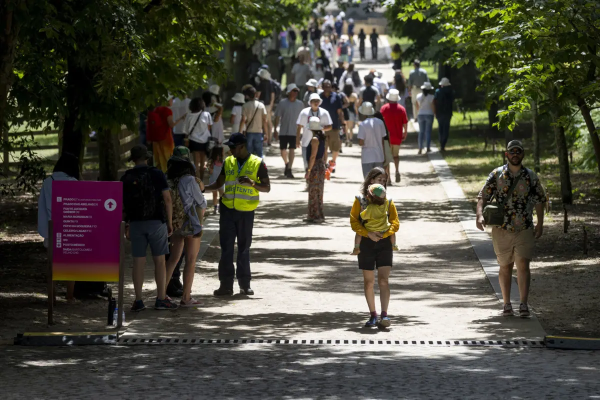 Imagem de contexto do artigo Serralves é um mar de festa numa inundação de gente
