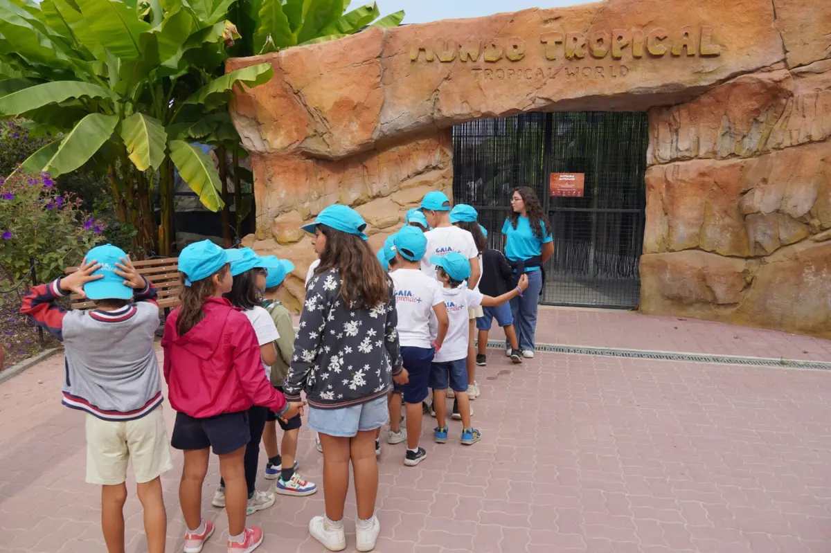 Crianças numa das visitas do programa Gaia Aprende+