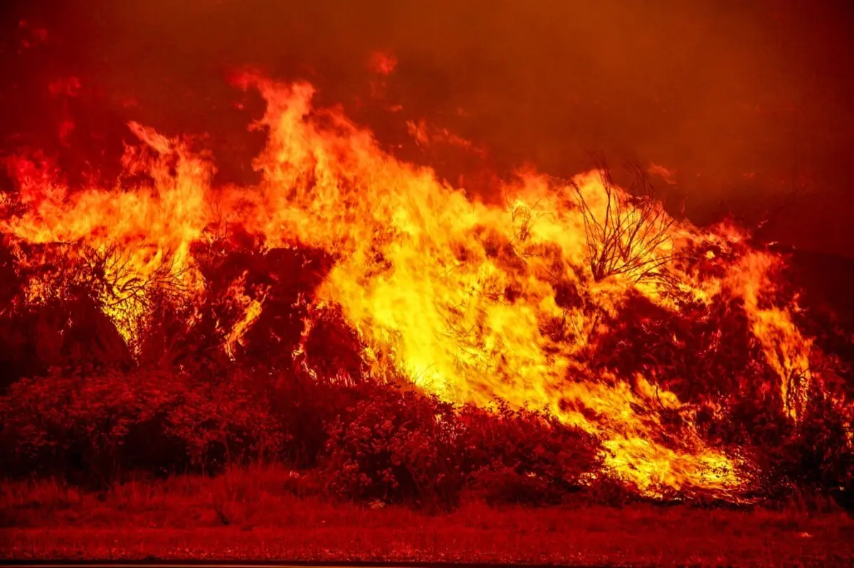 Mais de 870 casas e outras estruturas na Floresta Nacional de Los Padres ameaçadas pelo Incêndio Gifford