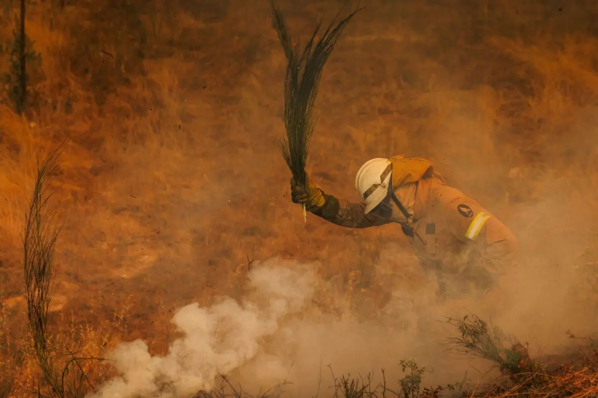 Pelas 10 horas, combatiam este incêndio 106 operacionais