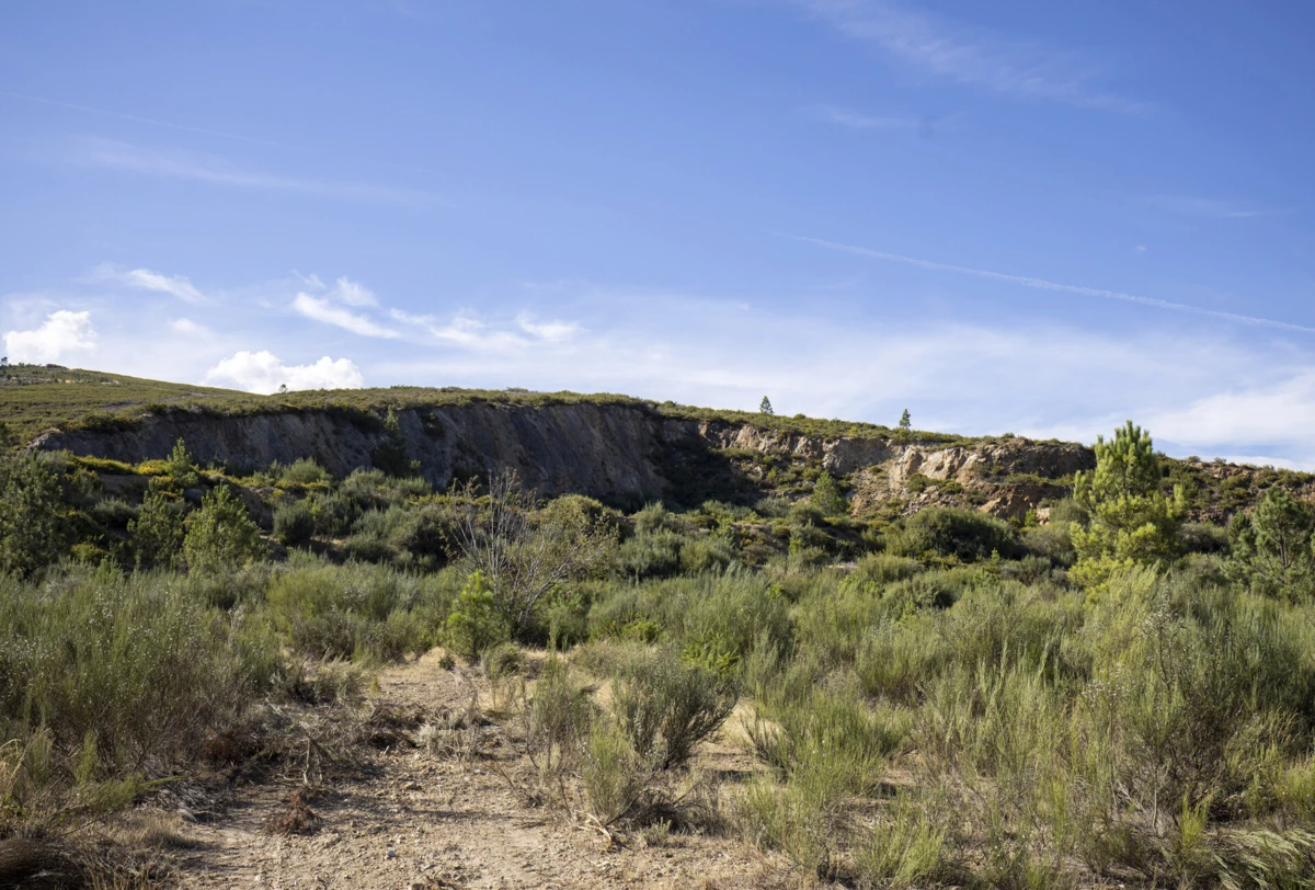 O ICNF também emitiu anteriormente um parecer desfavorável