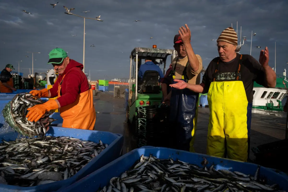 A azáfama regressou ao porto de Matosinhos para nova temporada de idas ao mar