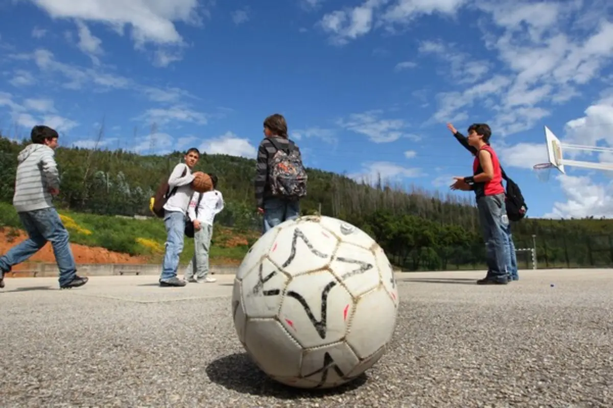 Imagem de contexto do artigo Docentes querem manter aferição a Educação Física