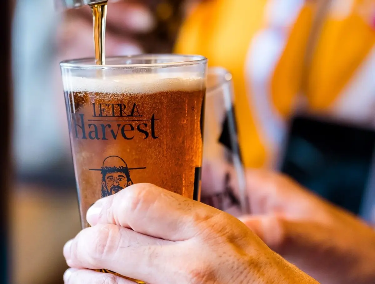 Imagem de contexto do artigo Letra Harvest Fest revive as tradições da cerveja em Vila Verde