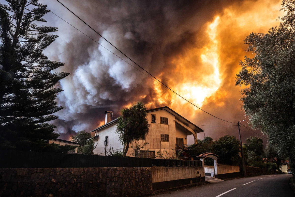 Aveiro foi o distrito mais afetado por estes incêndios