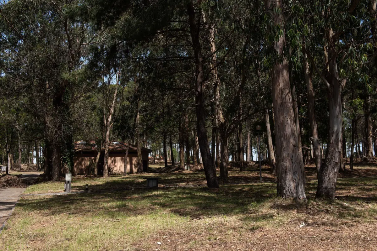 Antigo parque de campismo da Madalena, em Gaia