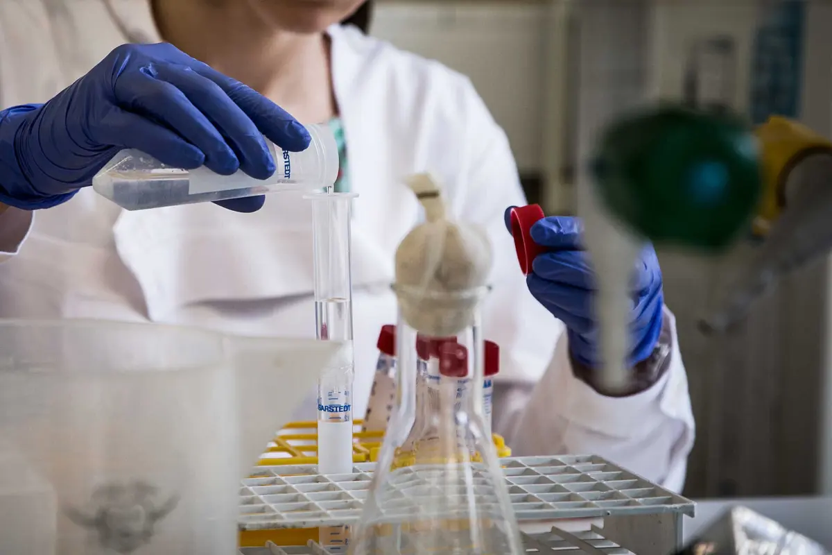 Resultados abrem caminho à possibilidade de aplicar esta imunoterapia no tratamento de cancro colorretal