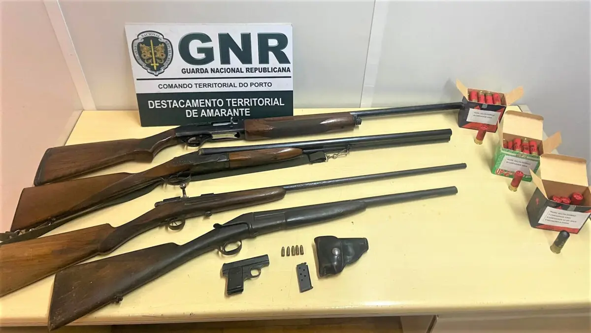 GNR apreendeu armas a idoso que abateu um gato a tiro