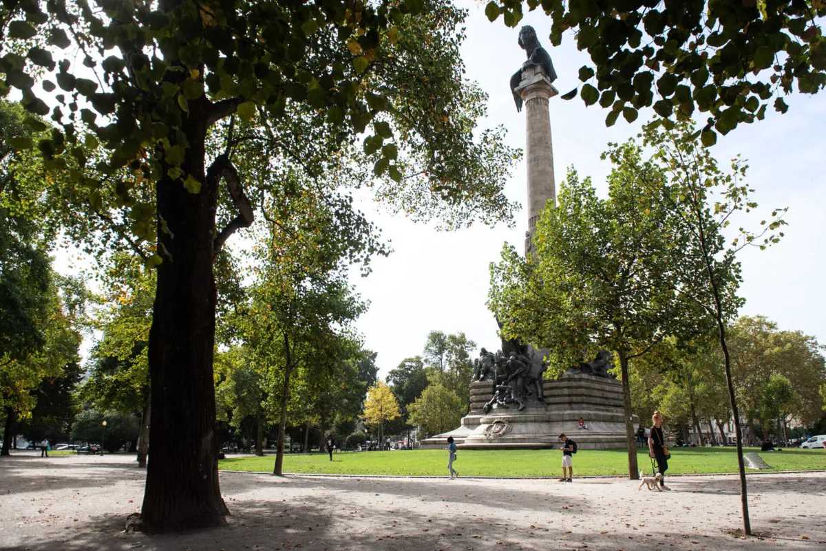 É necessário abater duas árvores de grande porte na Rotunda da Boavista