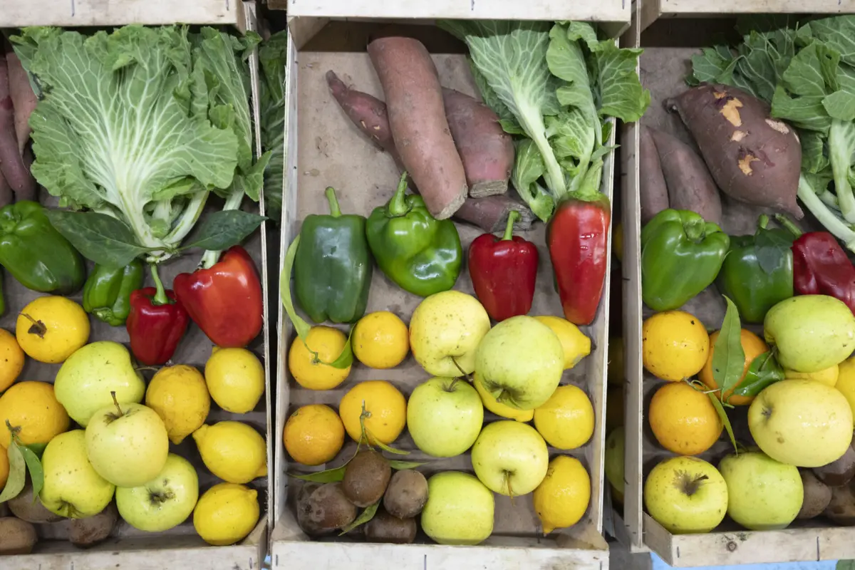 Imagem de contexto do artigo Cabaz de bens essenciais aumentou 2,81% desde o início do ano