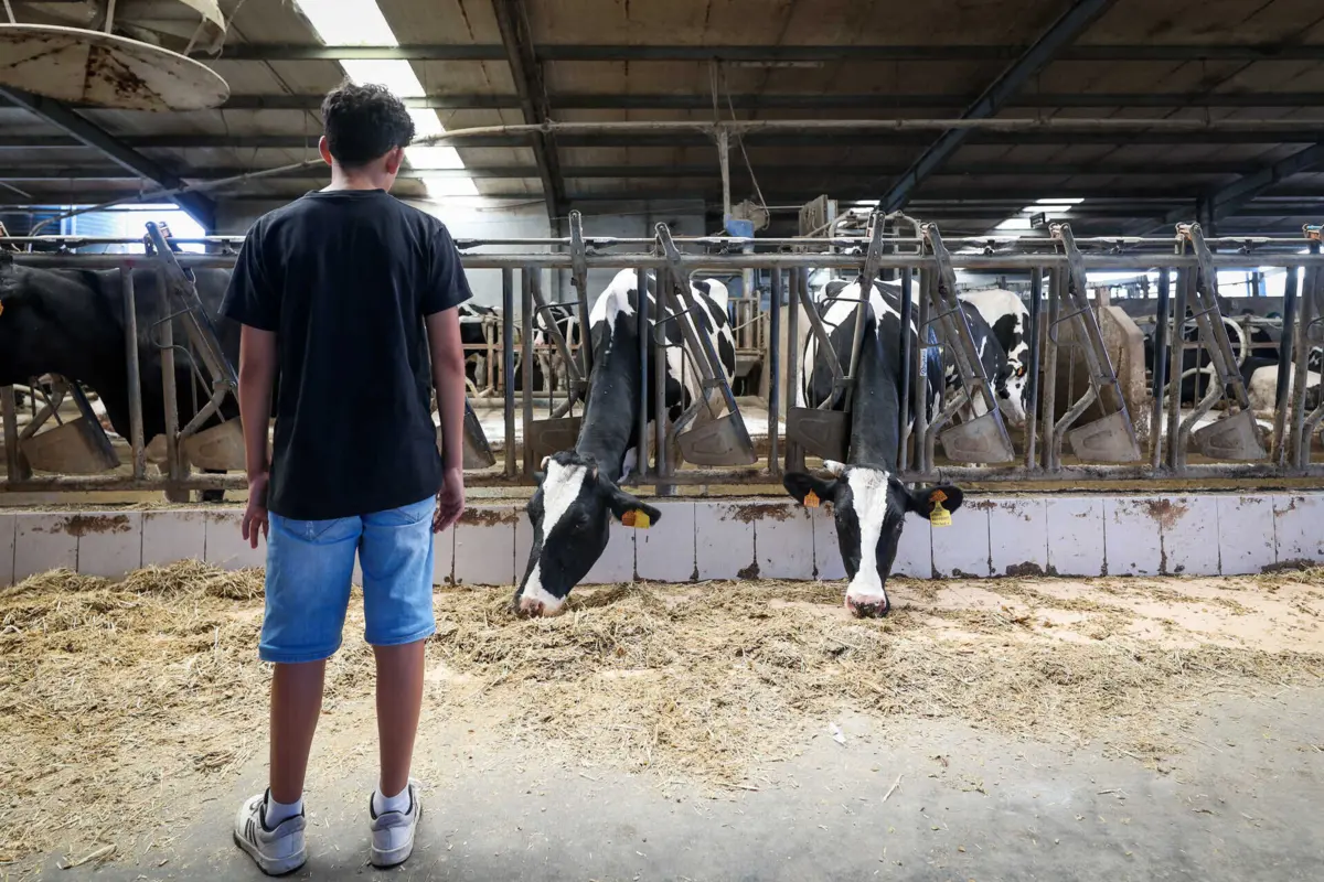 Visita de estudo a uma cavaria em Laundos