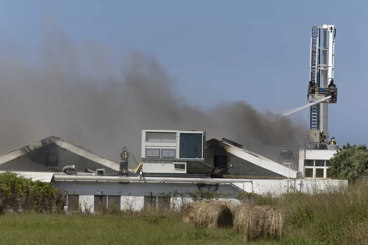 O incêndio começou por volta das 10.20 horas