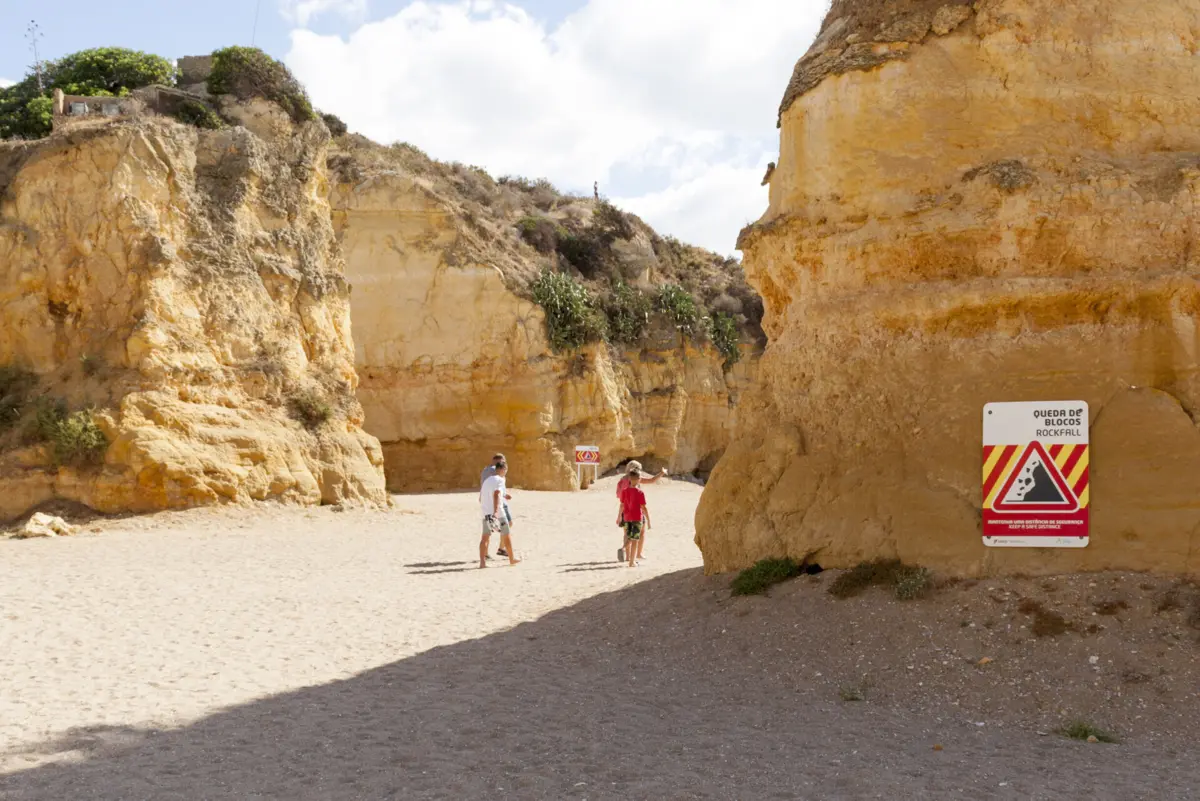 Especialistas alertam que, além dos fatores naturais, a construção de edifícios e de estradas tem contribuído para agravar o problema