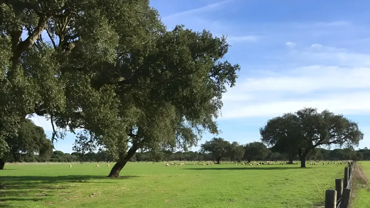 Zona da mina da Lagoa Salgada em Alcácer do Sal