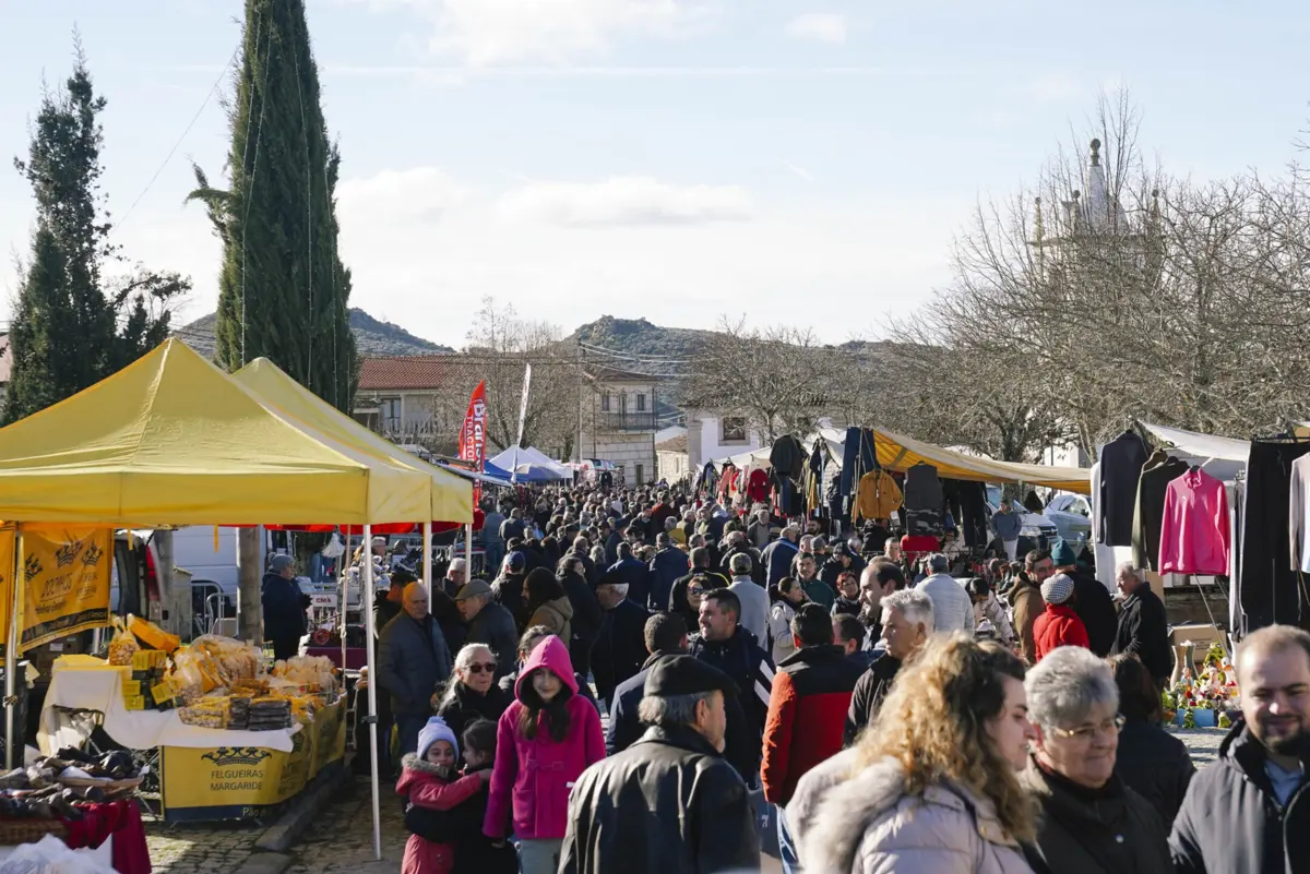 Feira decorre em Vila Verde, no concelho de Alijó