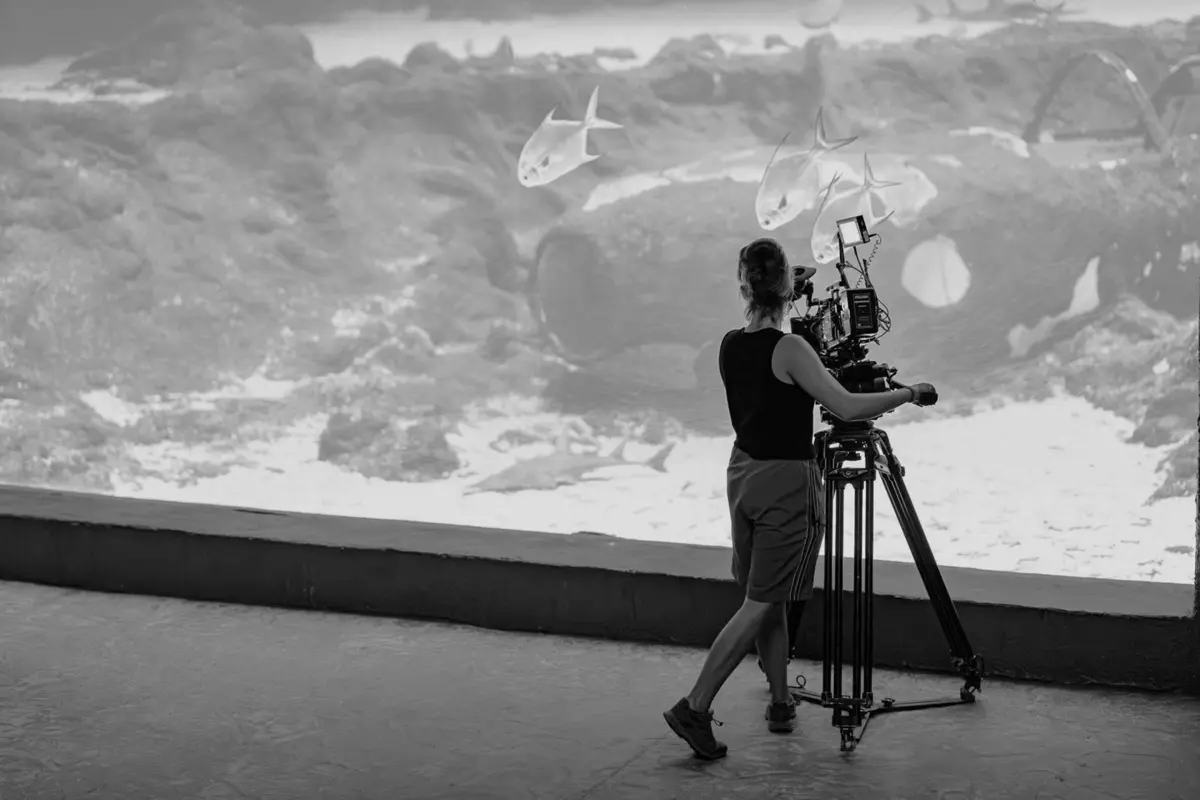 Hanna Tarasiewicz vai apresentar "Abstract"