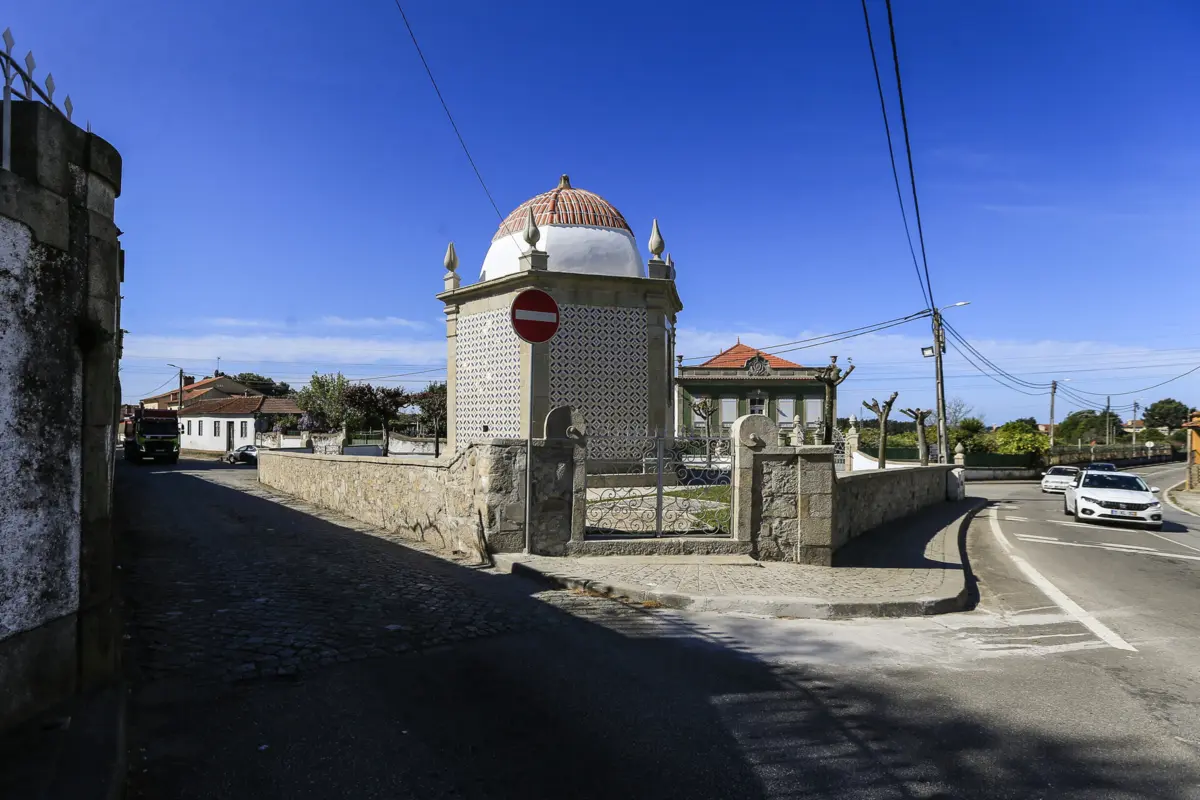 Vontade de atribuir nova categoria a Árvore tarda a concretizar-se