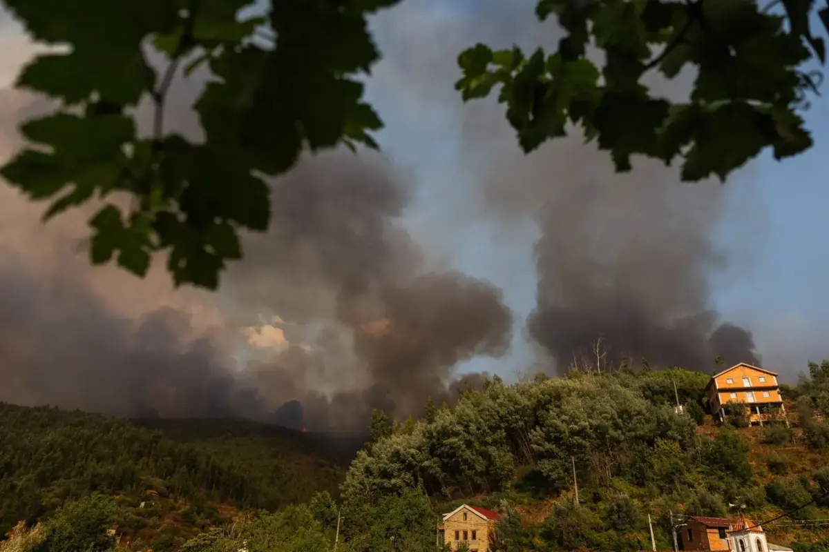 Alterações climáticas tornam ondas de calor em Portugal 40 vezes mais prováveis