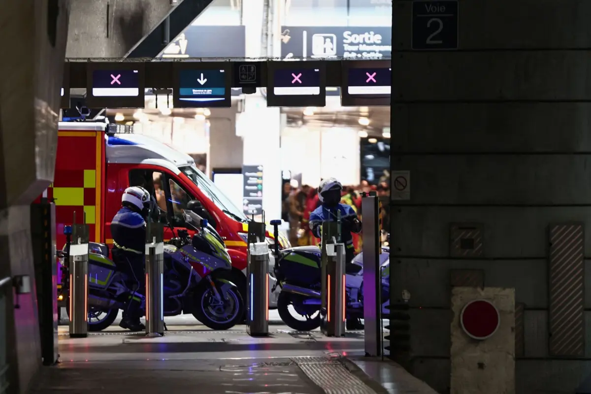 O suspeito chegou de comboio ao início da tarde a Montparnasse