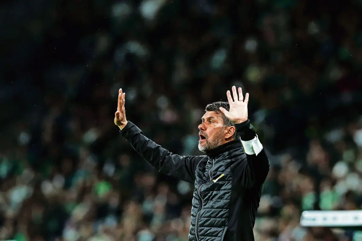 Bacci de regresso à liga portuguesa