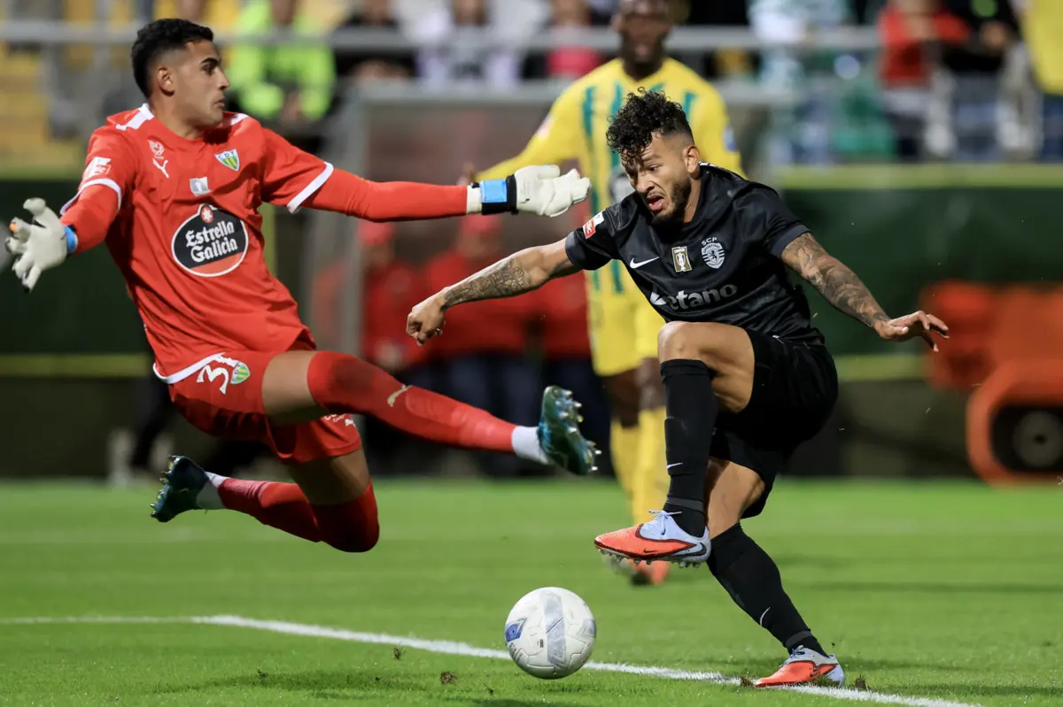 Bernardo Fontes fez uma série de intervenções e manteve os beirões na discussão até à hora de jogo