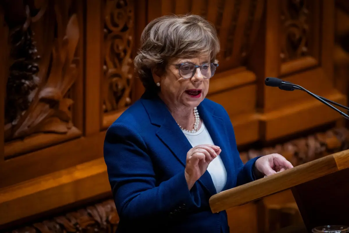Maria Lúcia Amaral apresentou a demissão a Marcelo Rebelo de Sousa