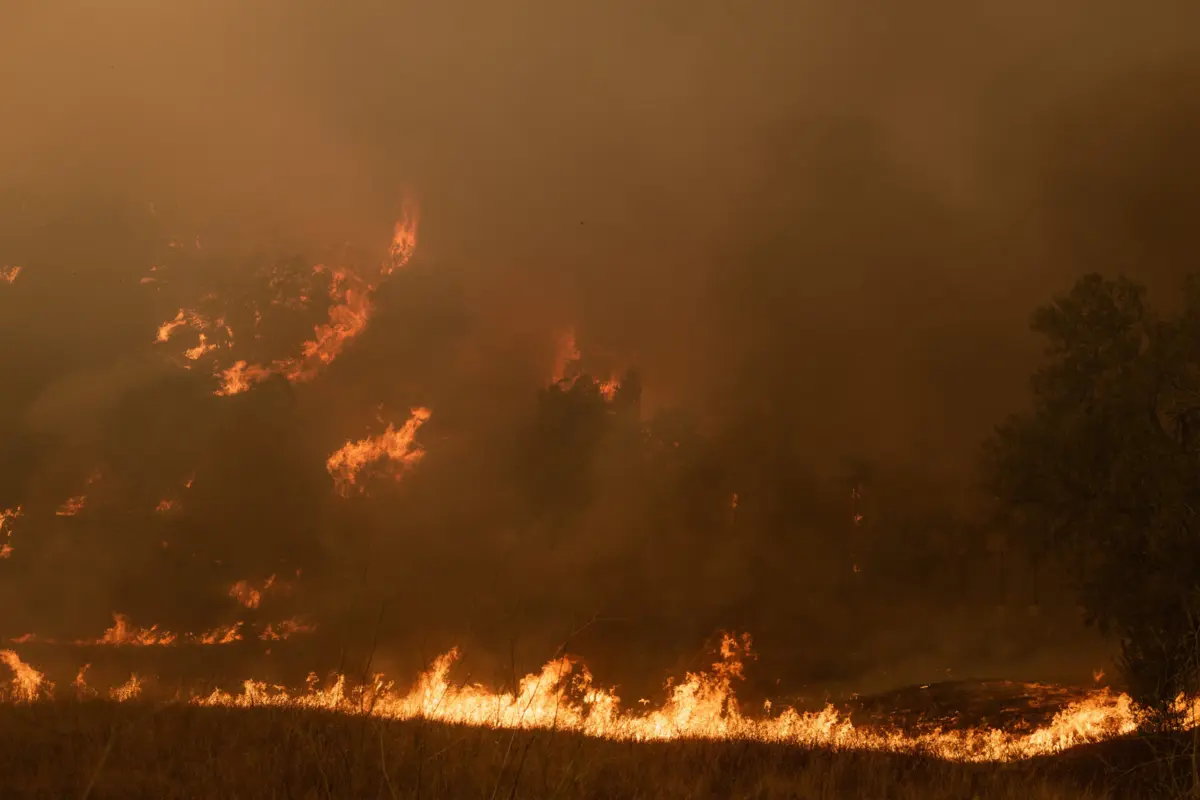 PJ deteve suspeito de atear dezenas de fogos no concelho de Ponte da Barca