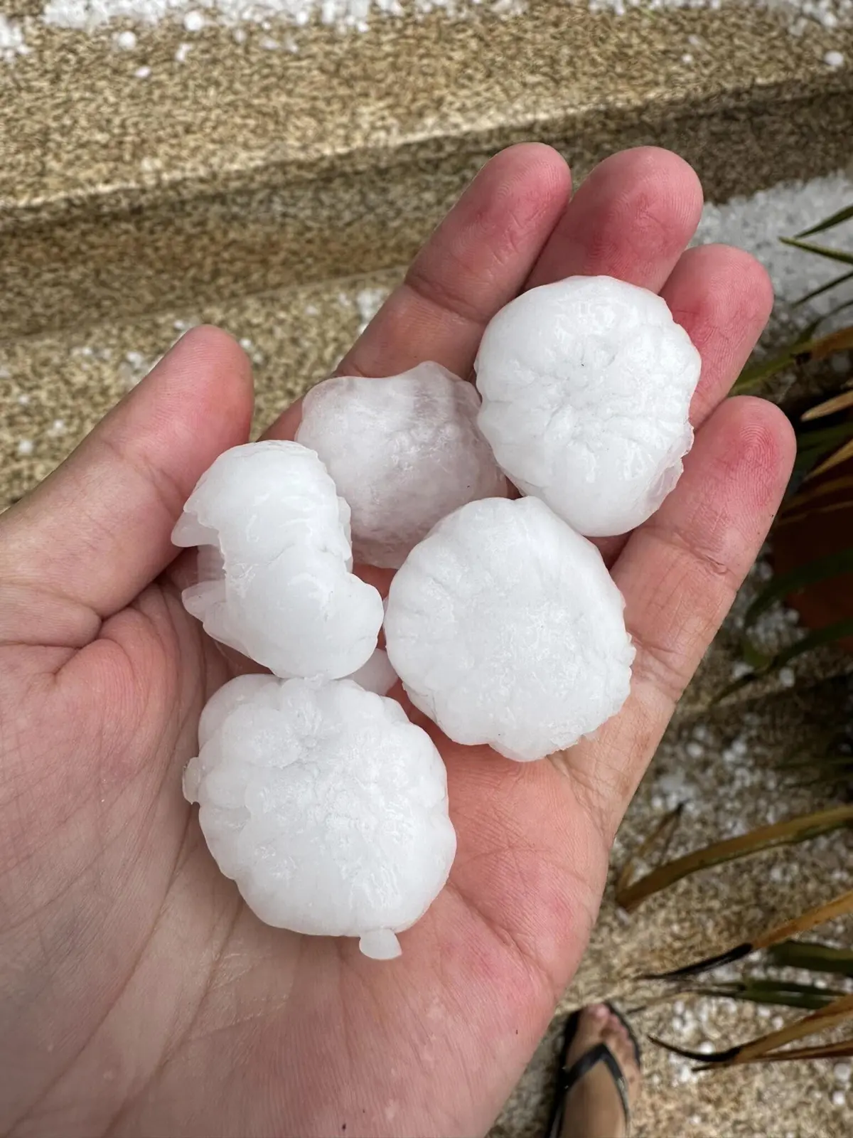 A trovoada veio acompanhada de chuva e granizo em Trás-os-Montes
