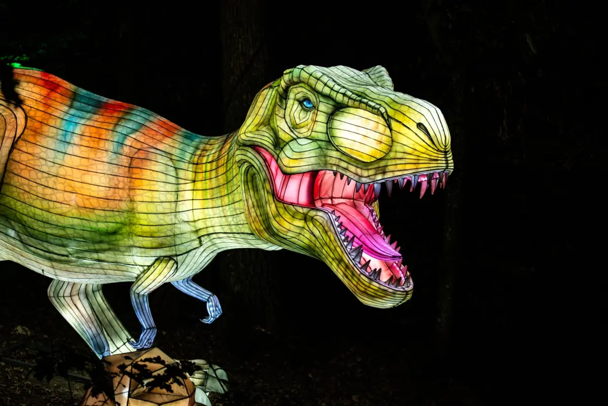 "Luzes selvagens", no Zoo Santo Inácio, em Vila Nova de Gaia