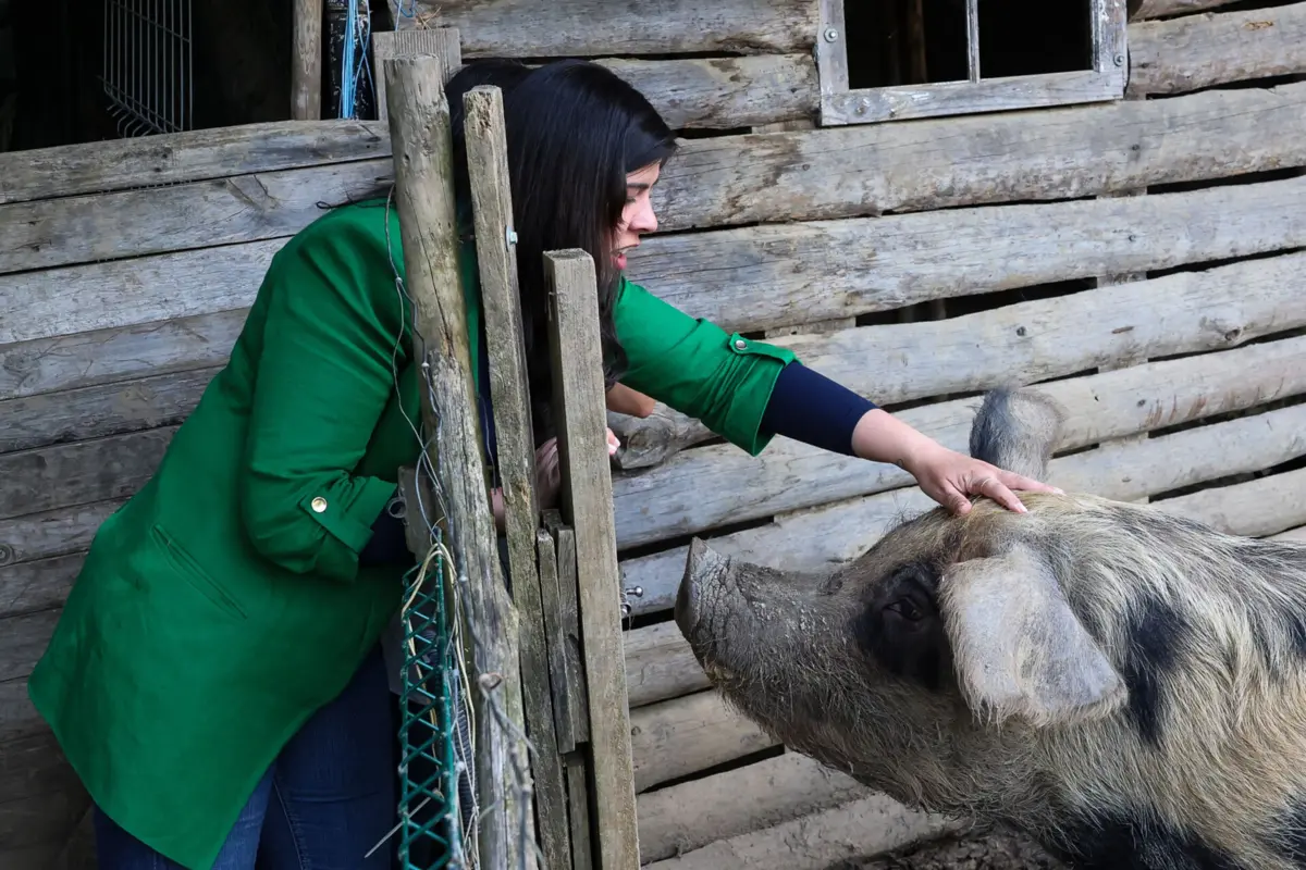 Imagem de contexto do artigo PAN acusa secretário de Estado de fazer “apologia a cultura de violência” contra animais
