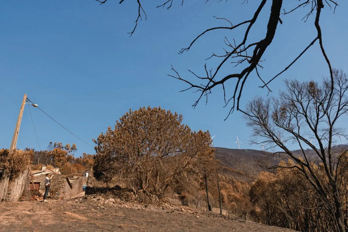 Andreia Rodrigues voltou à aldeia de Cabanões para ver a destruição do fogo