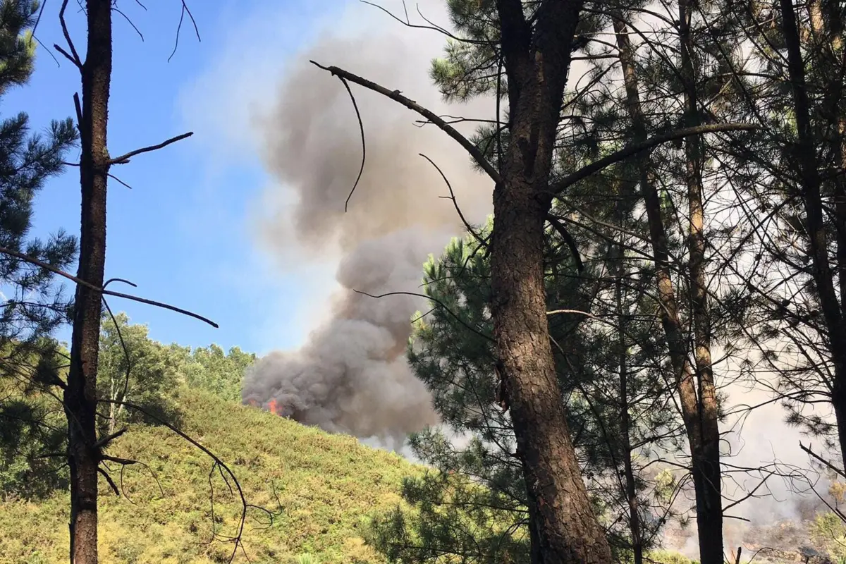 Fogo deflagrou pelas 16.30 horas