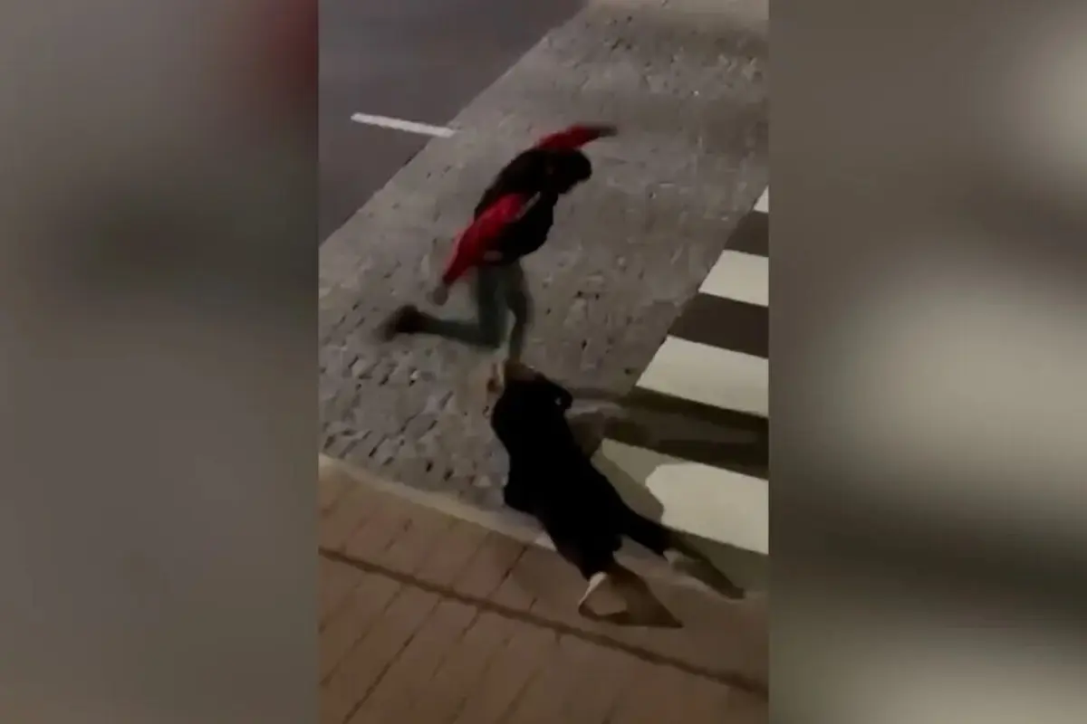 Video registou momento em que homem deu pontapés na cabeça da mulher