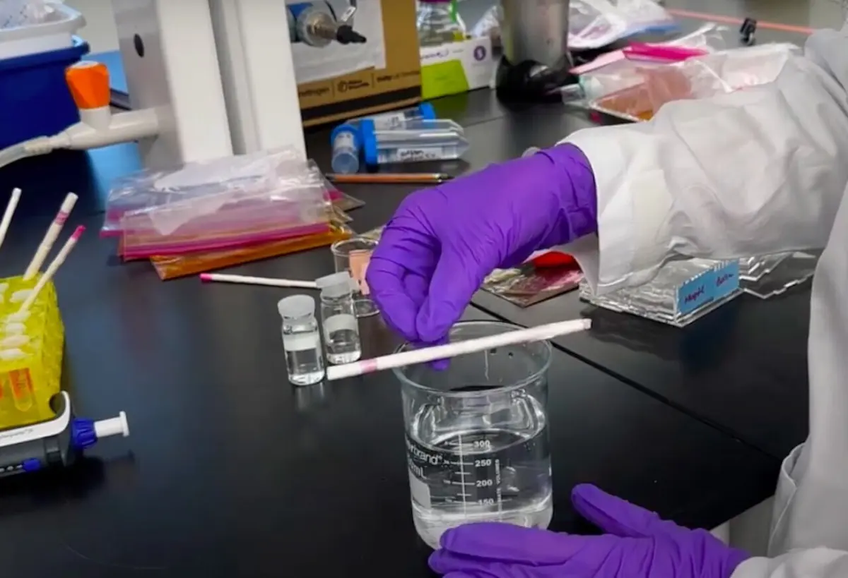 Dispositivo quer evitar os riscos do 'spiking', prática que implica a adulteração de bebidas sem conhecimento da vítima como forma de a vulnerabilizar