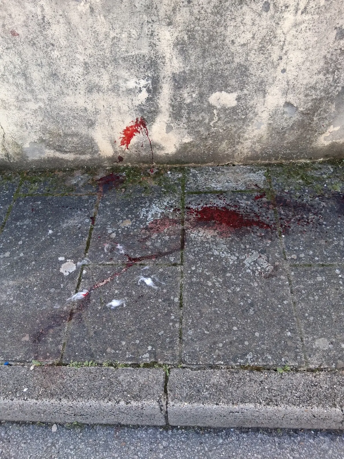 Um dos polícias e o jovem receberam tratamento hospitalar