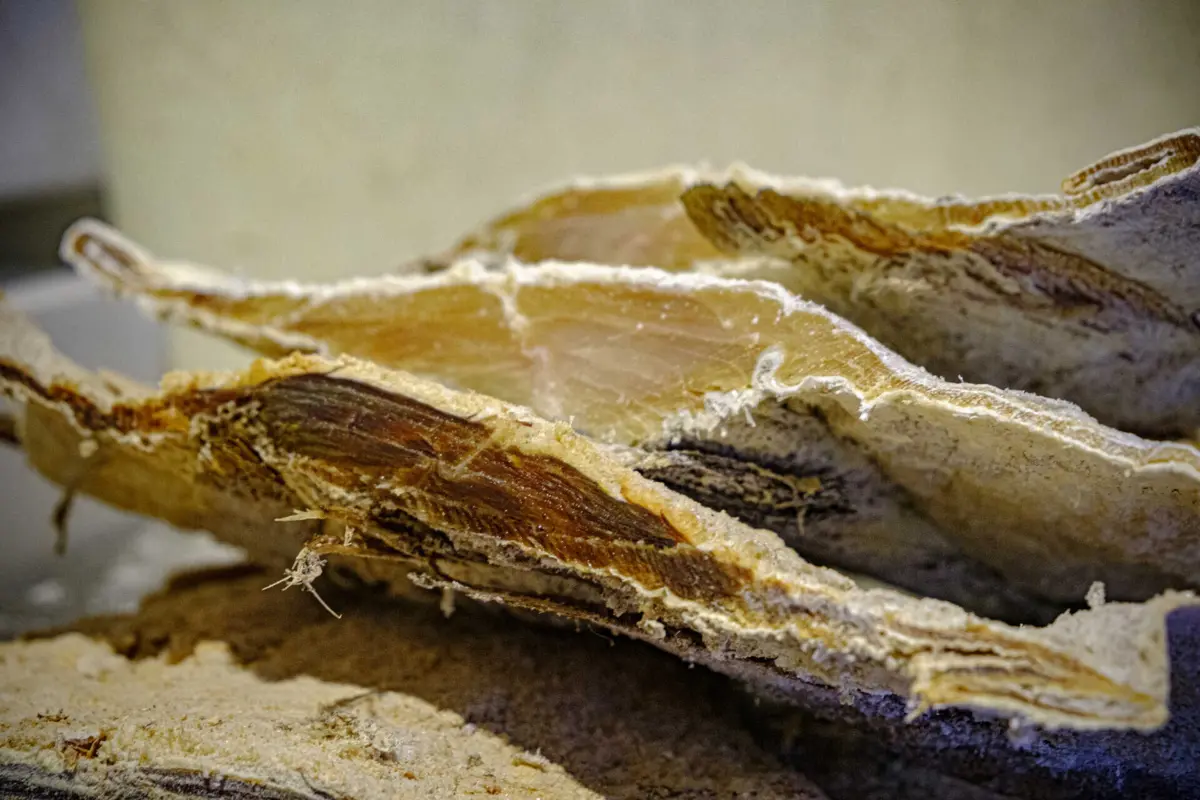 Imagem de contexto do artigo Portugal vai poder pescar 2.296 toneladas de bacalhau junto ao Canadá