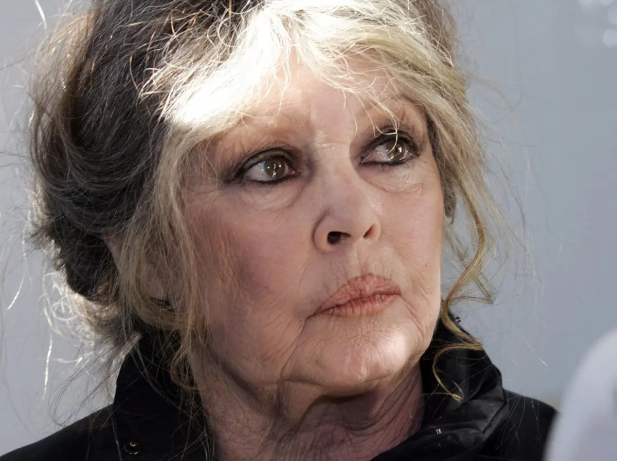 Imagem de contexto do artigo Brigitte Bardot morreu vítima de cancro