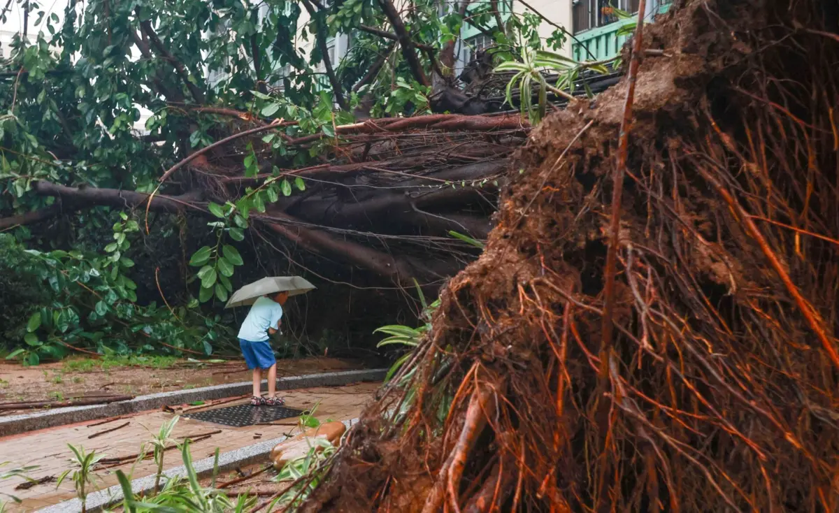 Temporada de tufões ainda não terminou